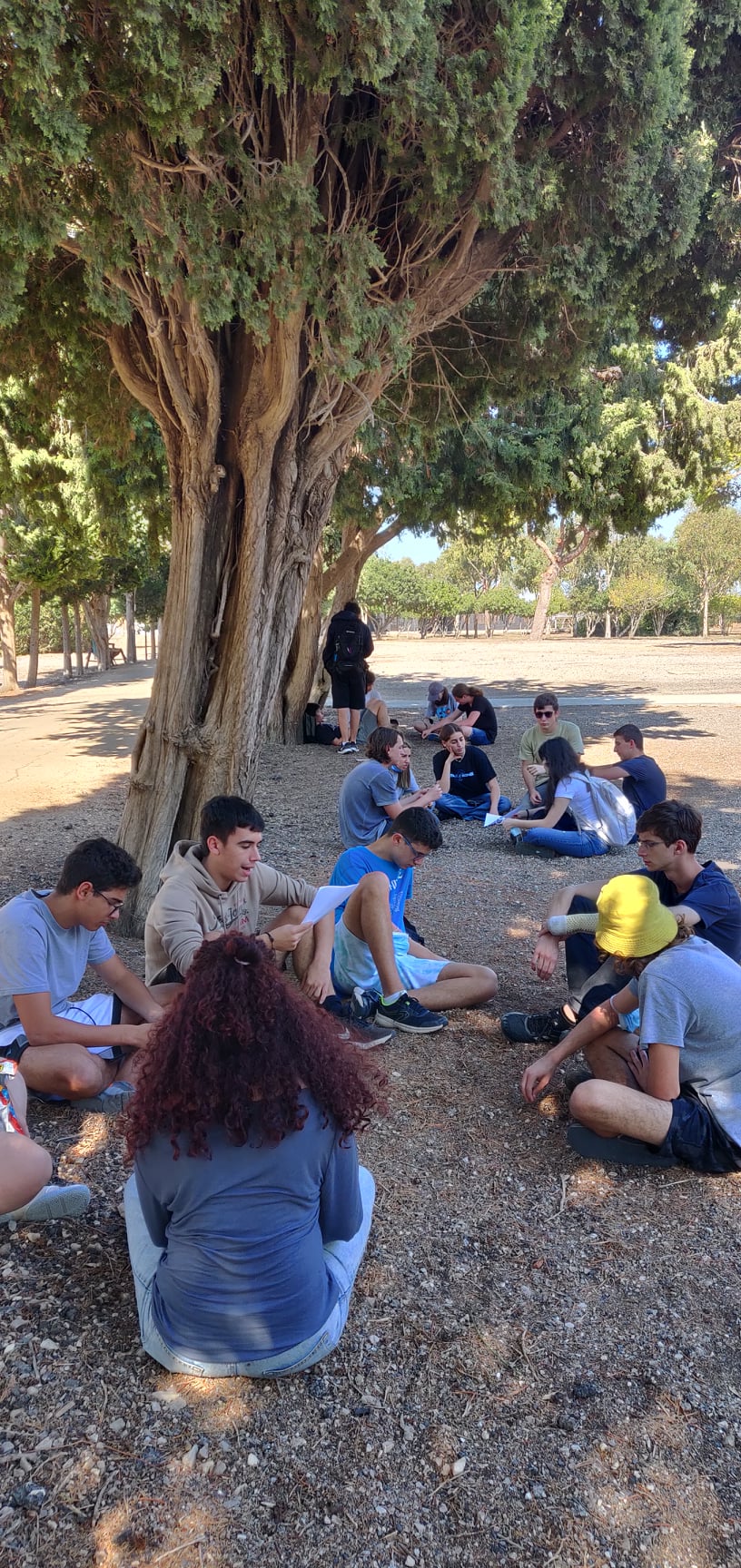 מעגל תלמידים יושב תחת עץ גדול בחורשה